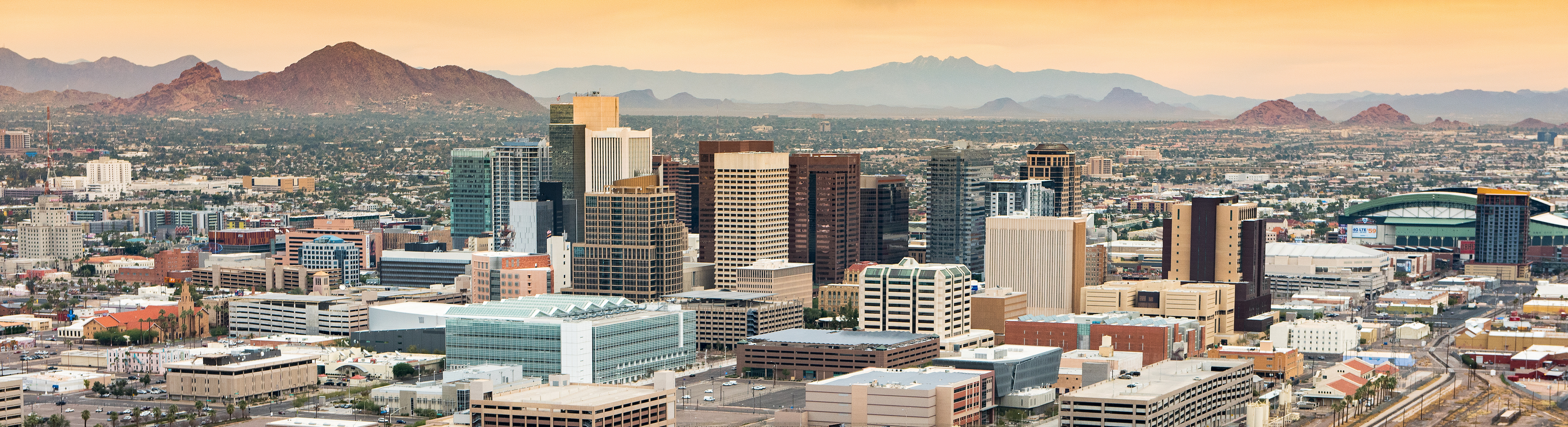 Phoenix Banner 5500x1500 1