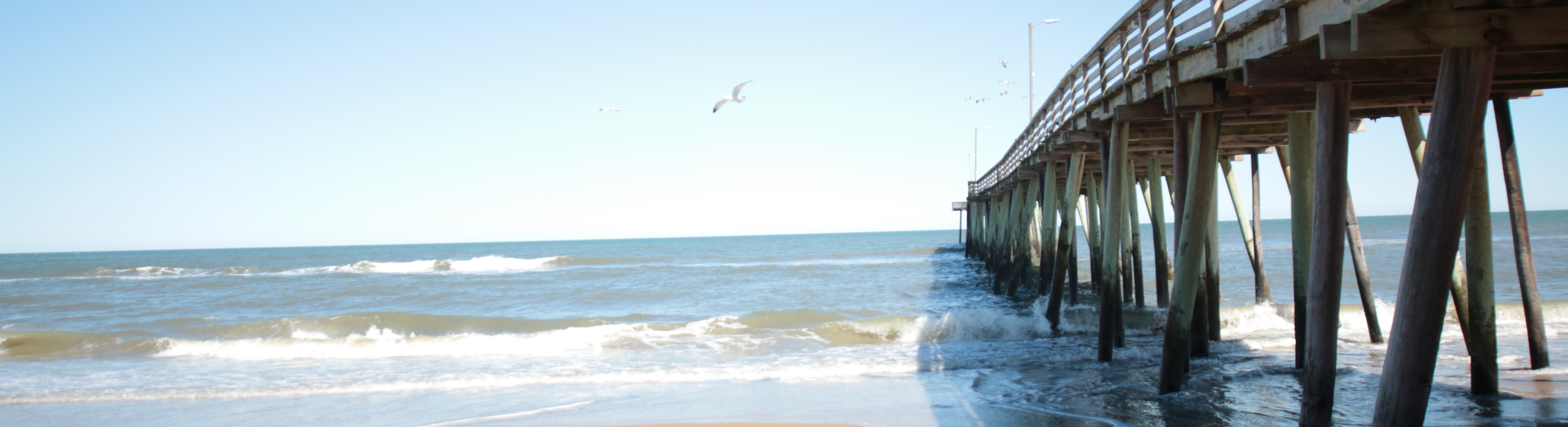 Virginia Beach Banner 5500x1500 1